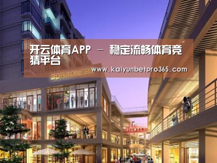 案例展示一