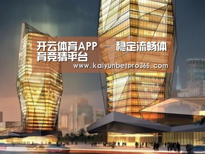 案例展示三